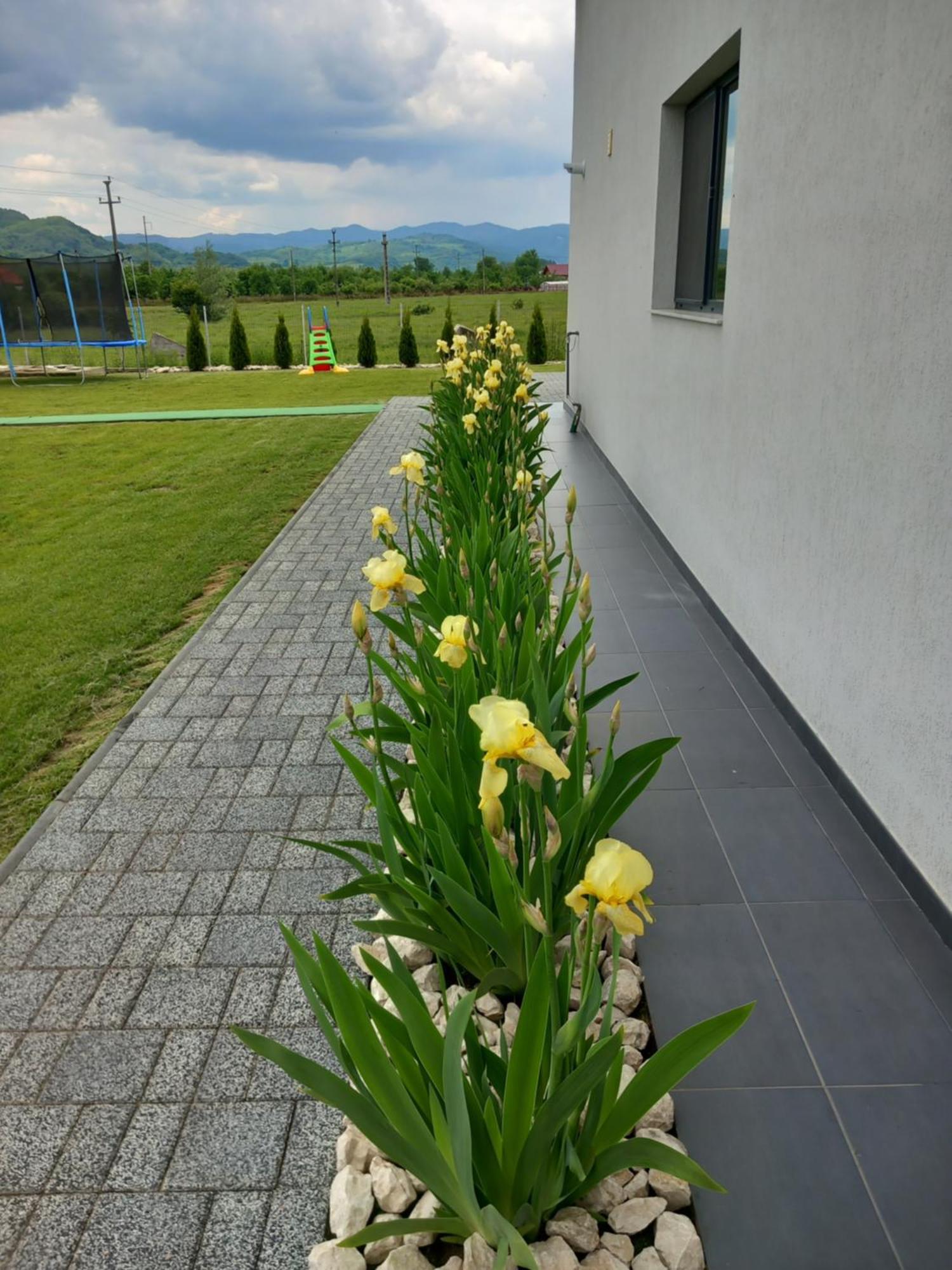 Casa Ambientt Hotel Albestii de Arges Eksteriør billede